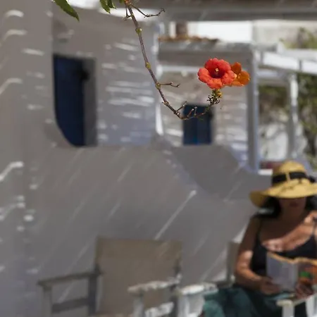 Ostria Studios&apartments 4*