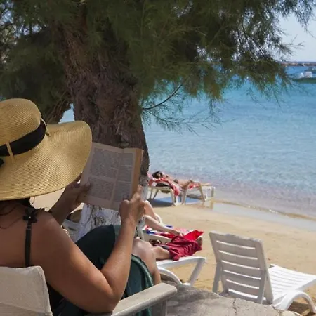 Ostria Studios&apartments 4* Alikí