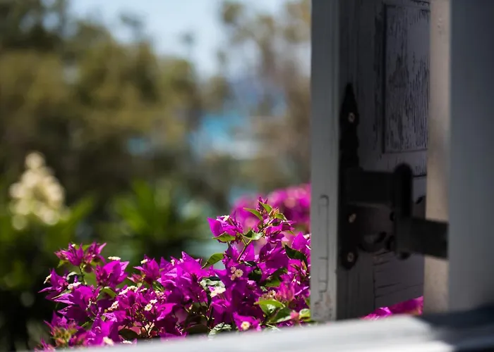 Ostria & 4* Aliki (Paros)